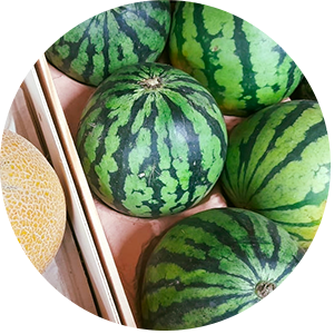 pastèque
