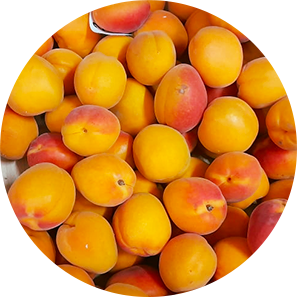 pêche