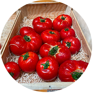 Tomate