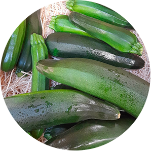 courgette