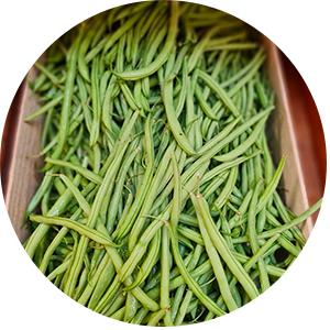 Haricot-vert