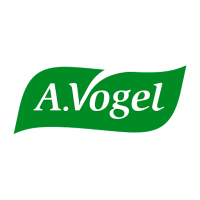 Vogel