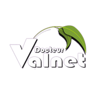valnet-2